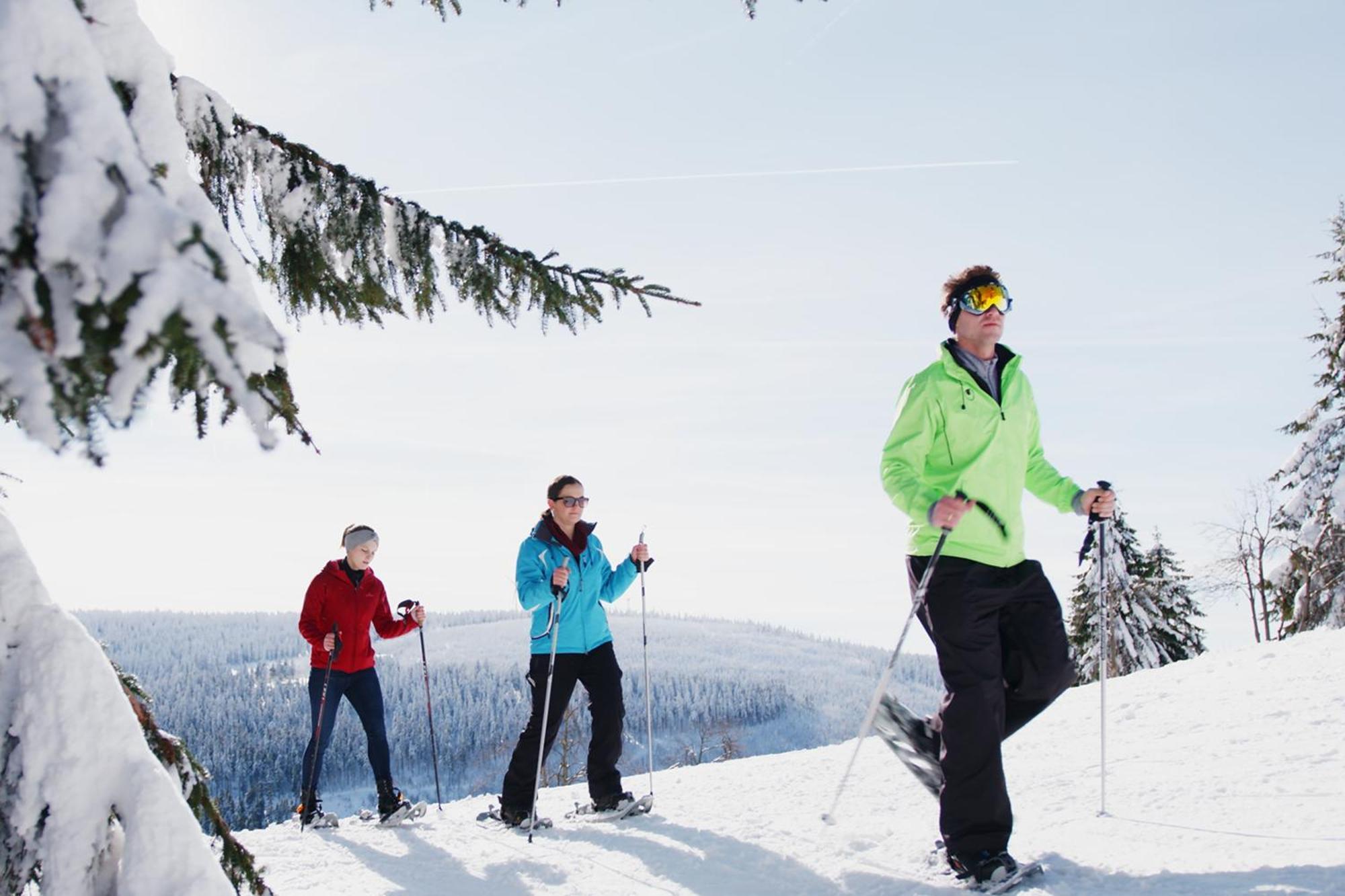 Ahorn Hotel Am Fichtelberg Oberwiesenthal Eksteriør bilde